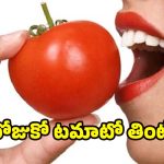 Tomato Benefits: రోజుకో టమాటో తింటే.. ఇన్ని లాభాలా ?