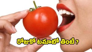 Tomato Benefits: రోజుకో టమాటో తింటే.. ఇన్ని లాభాలా ?