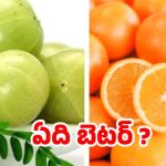 Orange Vs Amla: నారింజ Vs ఉసిరి.. బరువు తగ్గడానికి ఏది బెస్ట్ ?