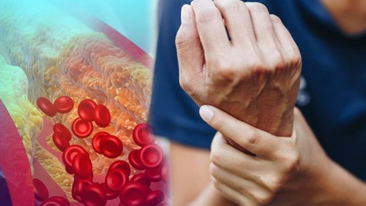 High Cholesterol: గుండె జబ్బులు రాకూడదంటే ? నిపుణుల సూచనలివే !