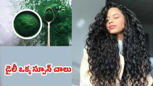 Spirulina Powder for Hair: డైలీ ఒక్క స్పూన్ ఇది తింటే చాలు.. ఊడిన చోటే కొత్త జుట్టు. 100 % రిజల్ట్  !
