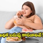 Obesity: మీరు చేసే.. ఈ పొరపాట్లే బరువు పెరగడానికి కారణమట !