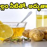 Ginger Water: మందులు అవసరమే లేదు.. అల్లం నీరు ఇలా వాడితే వ్యాధులన్నీ పరార్