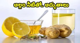 Warangal Rains: వరంగల్‌లో కుమ్మేస్తున్న భారీ వర్షం.. నీటిలో చిక్కుకున్న ఆర్టీసీ బస్సులు
