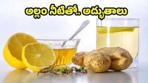 Ginger Water: మందులు అవసరమే లేదు.. అల్లం నీరు ఇలా వాడితే వ్యాధులన్నీ పరార్
