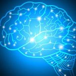 Yoga For Brain Health: ఈ యోగాసనాలతో.. బ్రెయిన్ డబుల్ షార్ప్ అవుతుందట !