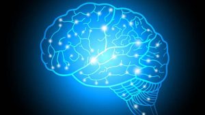 Yoga For Brain Health: ఈ యోగాసనాలతో.. బ్రెయిన్ డబుల్ షార్ప్ అవుతుందట !
