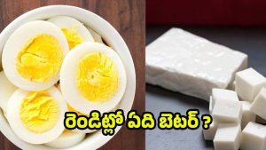 Boiled Eggs Vs Paneer: ఎగ్స్ Vs పన్నీర్.. ఉదయం పూట ఏది తింటే బెటర్ ?