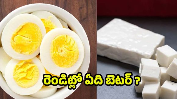Boiled Eggs Vs Paneer: ఎగ్స్ Vs పన్నీర్.. ఉదయం పూట ఏది తింటే బెటర్ ? Boiled Eggs Vs Paneer: ఎగ్స్ Vs పన్నీర్.. ఉదయం పూట ఏది తింటే బెటర్ ?