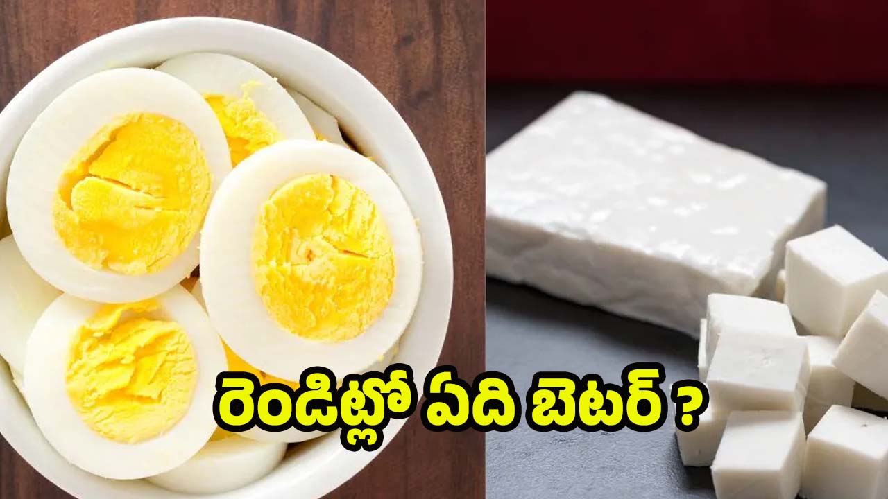 Boiled Eggs Vs Paneer: ఎగ్స్ Vs పన్నీర్.. ఉదయం పూట ఏది తింటే బెటర్ ?