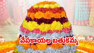 Bathukamma 2025: వేపకాయల బతుకమ్మ.. ఆ పేరు వెనక కథ, సమర్పించాల్సిన నైవేద్యం ఏంటి ?