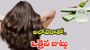 Aloe Vera For Hair: అలోవెరా ఇలా వాడితే.. జుట్టు వద్దన్నా పెరుగుతుంది