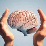 Brain Health:ఈ టిప్స్ పాటిస్తే చాలు.. బ్రెయిన్ షార్ప్‌గా పనిచేస్తుంది