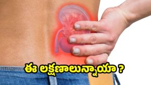 Poor Kidney Function: కిడ్నీలు ఫెయిల్ అయ్యాయని తెలిపే.. సంకేతాలు ఇవే !