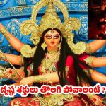 Navratri 2025: దృష్టశక్తులు తొలగిపోవాలంటే.. నవరాత్రి సమయంలో ఇలా చేయండి !
