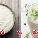 Curd vs Buttermilk:పెరుగు Vs మజ్జిగ.. రెండిట్లో ఏది బెటర్ ?