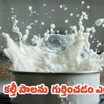Milk Purity Test: మీ ఇంటికి వచ్చే పాలు కల్తీ అవుతున్నాయా? ఈ సులభమైన మార్గాల్లో గుర్తించండి