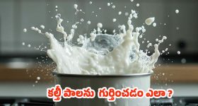 Milk Purity Test: మీ ఇంటికి వచ్చే పాలు కల్తీ అవుతున్నాయా? ఈ సులభమైన మార్గాల్లో గుర్తించండి