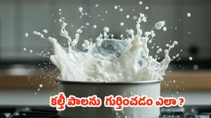Milk Purity Test: మీ ఇంటికి వచ్చే పాలు కల్తీ అవుతున్నాయా? ఈ సులభమైన మార్గాల్లో గుర్తించండి