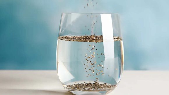 Chia Seeds: 2 వారాల పాటు చియా సీడ్స్ తింటే.. శరీరంలో జరిగే మార్పులివే ! Chia Seeds: 2 వారాల పాటు చియా సీడ్స్ తింటే.. శరీరంలో జరిగే మార్పులివే !