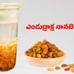 Soaked Raisins: డైలీ ఉదయం నానబెట్టిన ఎండుద్రాక్ష తింటే.. ఇన్ని లాభాలా ?