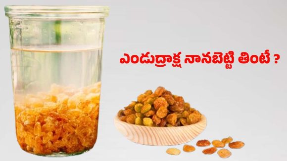 Soaked Raisins: డైలీ ఉదయం నానబెట్టిన ఎండుద్రాక్ష తింటే.. ఇన్ని లాభాలా ?
