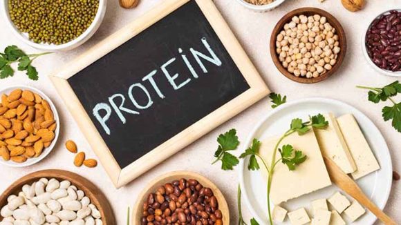 Protein Rich Foods: వీటిలో.. పన్నీర్ కంటే ఎక్కువ ప్రోటీన్ !
