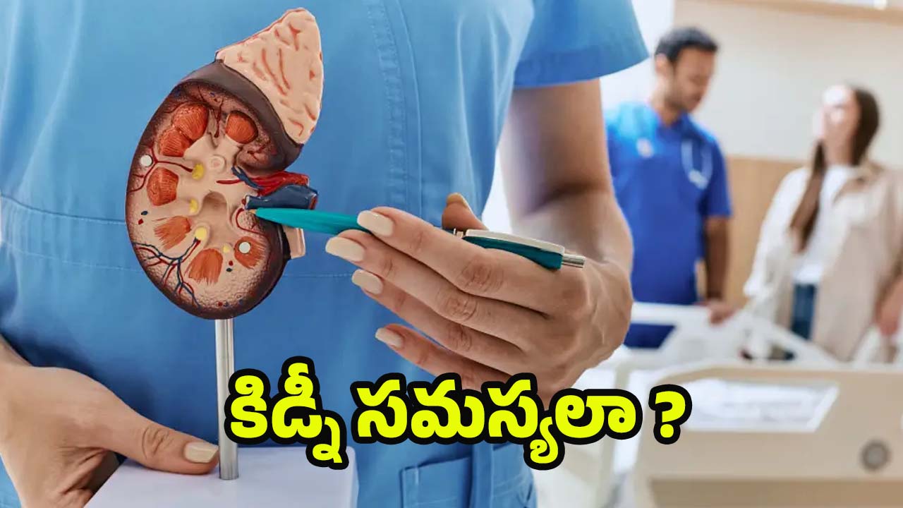 Kidney Disease: కిడ్నీలు పాడయ్యాయని తెలిపే.. సంకేతాలు ఇవే !