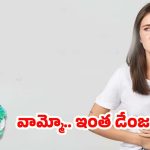 Alum For Dark Circles: మైక్రో ప్లాస్టిక్‌తో ముప్పు.. మెదడు, ఎముకలపై ప్రభావం, పరిశోధనల్లో షాకింగ్ నిజాలు