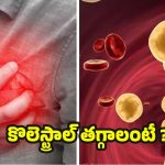 Cholesterol: శరీరంలోని కొలెస్ట్రాల్ ఈజీగా తగ్గాలంటే ?