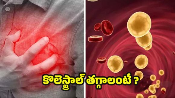 Cholesterol: శరీరంలోని కొలెస్ట్రాల్ ఈజీగా తగ్గాలంటే ?