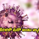 African Swine Fever: ప్రమాదకర రీతిలో ఆఫ్రికన్ స్వైన్ ఫీవర్ వ్యాప్తి.. మరో ముప్పు తప్పదా ?