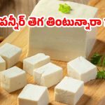 Paneer Side Effects: మంచిదని పన్నీర్ తెగ తినేస్తున్నారా ?  జాగ్రత్త