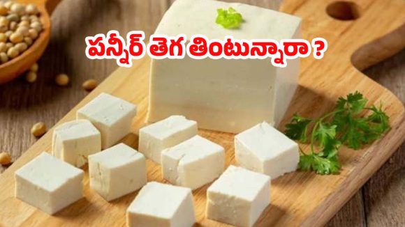 Paneer Side Effects: మంచిదని పన్నీర్ తెగ తినేస్తున్నారా ?  జాగ్రత్త