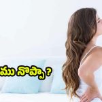 Back Pain: నడుము నొప్పిని క్షణాల్లోనే తగ్గించే.. బెస్ట్ టిప్స్ !