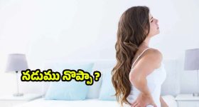 Back Pain: నడుము నొప్పిని క్షణాల్లోనే తగ్గించే.. బెస్ట్ టిప్స్ !