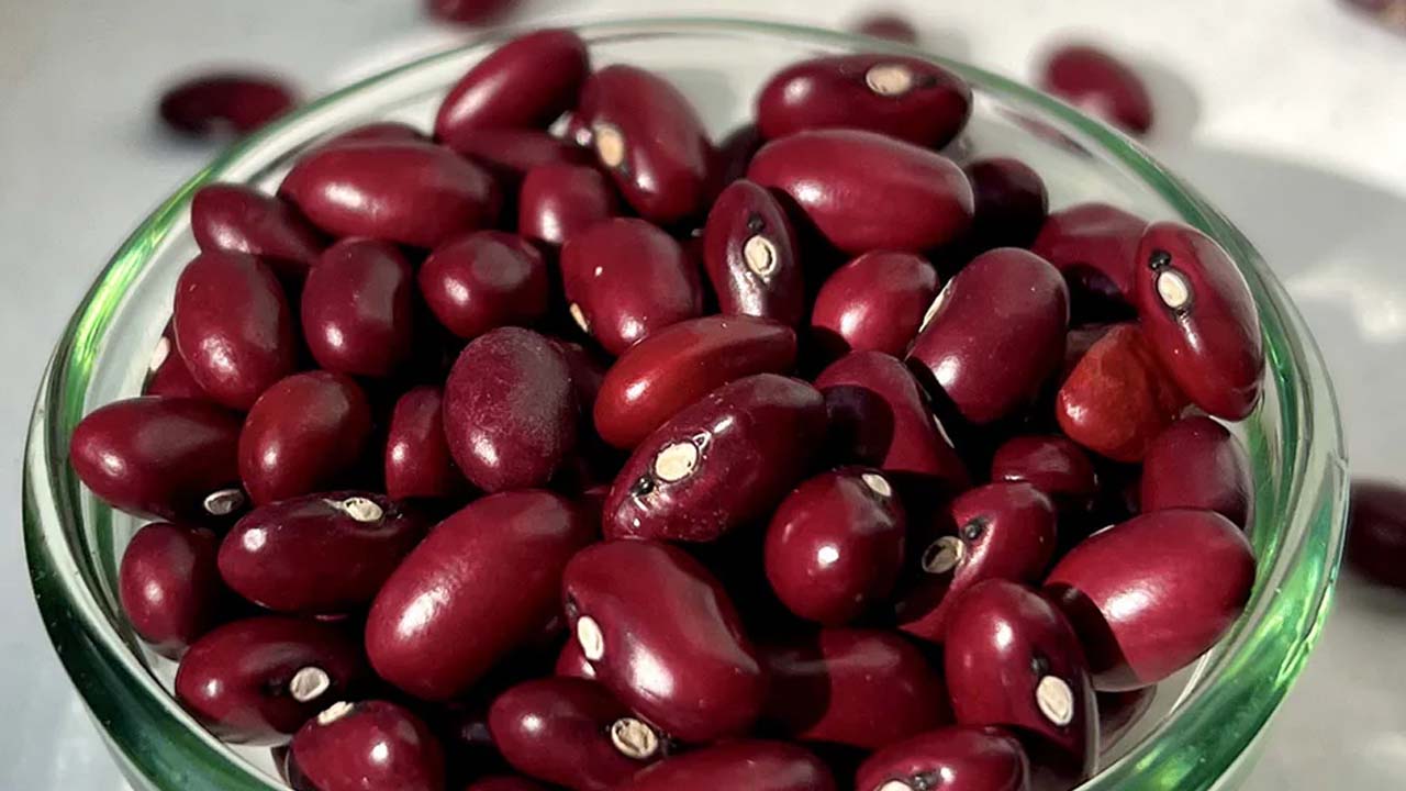 Rajma Beans: రాజ్మా తింటే.. ఈ ఆరోగ్య సమస్యలన్నీ పరార్ !