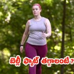 Belly Fat: బెల్లీ ఫ్యాట్ తగ్గాలంటే.. ఈ టిప్స్ ఫాలో అవ్వాల్సిందే !