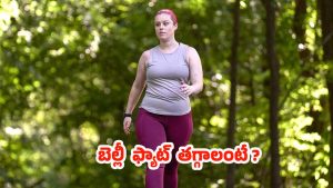 Belly Fat: బెల్లీ ఫ్యాట్ తగ్గాలంటే.. ఈ టిప్స్ ఫాలో అవ్వాల్సిందే !