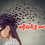 Alzheimers: చిన్న చిన్న విషయాలకే కన్‌ఫ్యూజ్ అవుతున్నారా ? కారణం ఇదే !