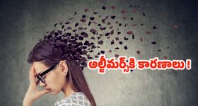 VerSe Innovation: డిజిటల్ ఇండియాకు కొత్త యుగం.. వెర్సే ఇన్నోవేషన్ విజయం వెనుక రహస్యం ఇదే