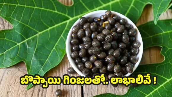 Papaya Seeds: బొప్పాయి సీడ్స్ తింటే.. ఈ వ్యాధులన్నీ పరార్ !