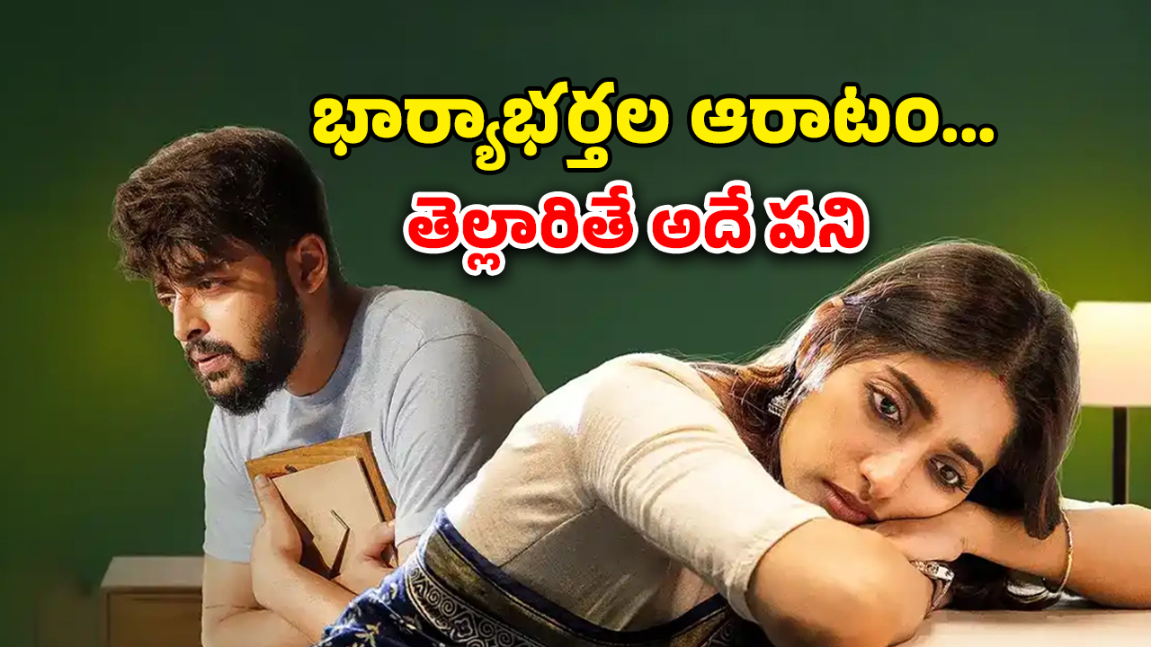 OTT Movie : పిల్లలు పుట్టట్లేదని ఫ్యూజులు అవుట్ అయ్యే పని… ఆ టెస్టుకు మాత్రం ఒప్పుకోని భర్త… లాస్ట్ ట్విస్ట్ హైలెట్