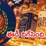 AP Liquor Scam: ఏపీ లిక్కర్‌ స్కామ్‌ కొత్త మలుపు.. ఐదు రాష్ట్రాల్లో ఈడీ సోదాలు, వైసీపీలో గుబులు