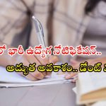 APMSRB: రాష్ట్రంలో రూ.1,51,370 జీతంతో భారీగా ఉద్యోగాలు.. ఈ జాబ్ వస్తే లైఫ్ సెట్ అయినట్టే, పూర్తి వివరాలివే