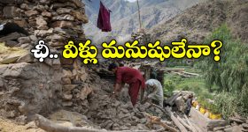 AP Govt Schemes: ఏపీకి స్పెషల్ అవార్డు.. దీని వెనుక అసలు కథ ఇదే!