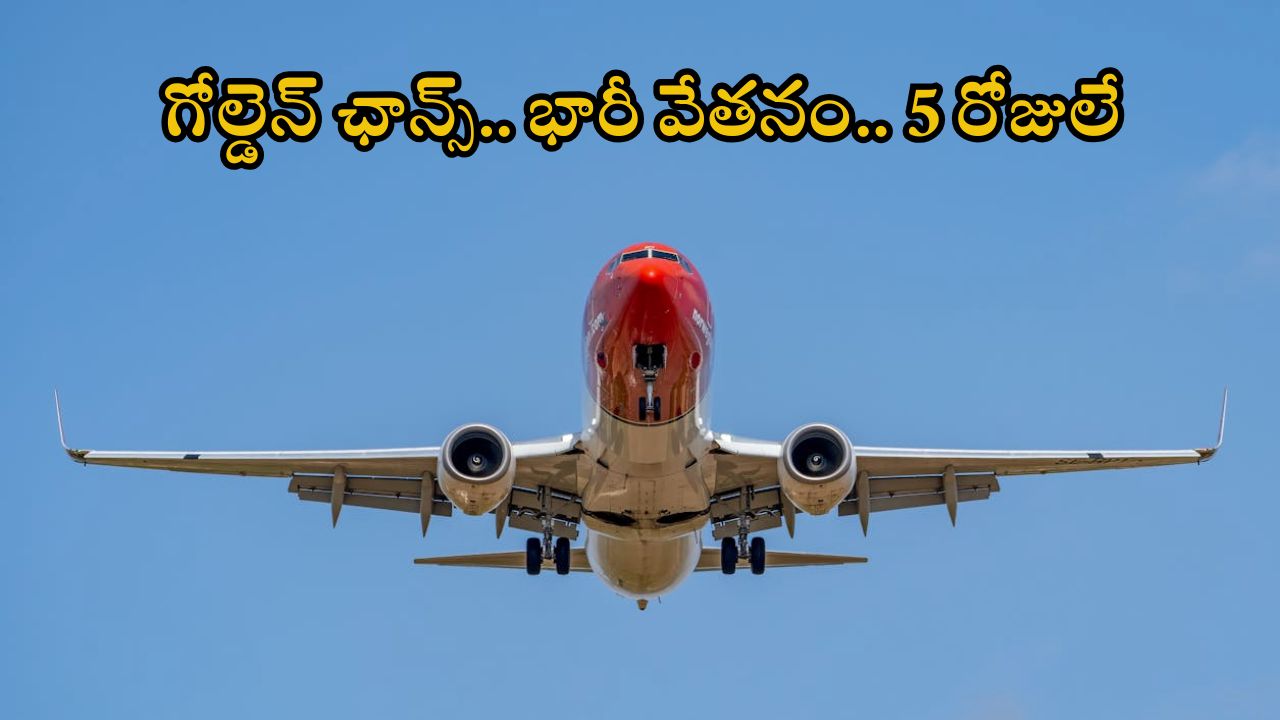 AAI Recruitment: రూ.1,40,000 జీతంతో భారీగా ఉద్యోగాలు.. బంగారం లాంటి జాబ్, దరఖాస్తుకు 5 రోజులే గడువు