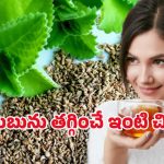 Ajwain Health Benefits: మందులు అవసరమే లేదు.. ఈ కషాయం తాగితే జలుబు మాయం