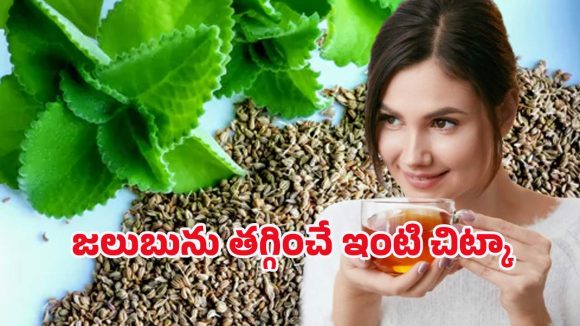 Ajwain Health Benefits: మందులు అవసరమే లేదు.. ఈ కషాయం తాగితే జలుబు మాయం Ajwain Health Benefits: మందులు అవసరమే లేదు.. ఈ కషాయం తాగితే జలుబు మాయం