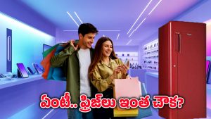 Amazon Great Indian Festival: బ్రాండెడ్ ఫ్రిజ్‌లపై 55 శాతం తగ్గింపు.. అమెజాన్ గ్రేట్ ఇండియన్ ఫెస్టివల్‌లో భారీ ఆఫర్స్